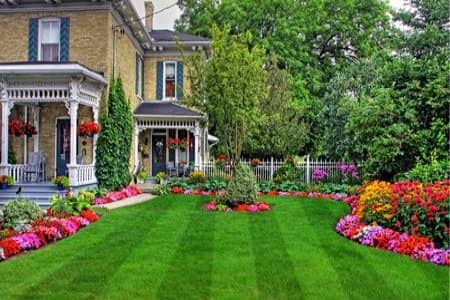 Five Reasons For Pro Lawn Care